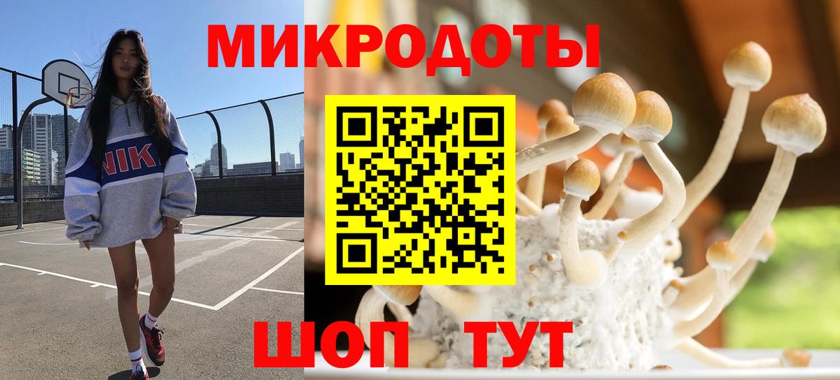 Галлюциногенные грибы ЛСД  Вход с VPN  Сухой Лог  Галлюциногенные грибы Cubensis 